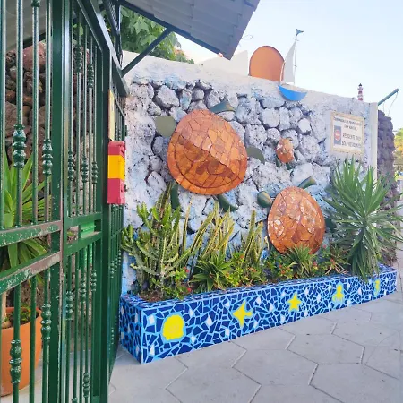 Apartman Tortugas 350mt From The Wi-fi Free *